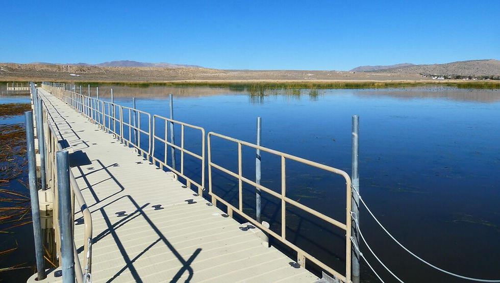 Boardwalk - Photo: Lori Bellis