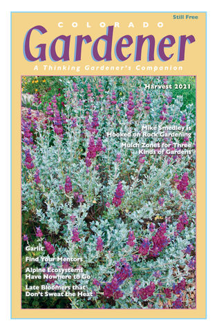 Editor's Letter: Harvest 2021