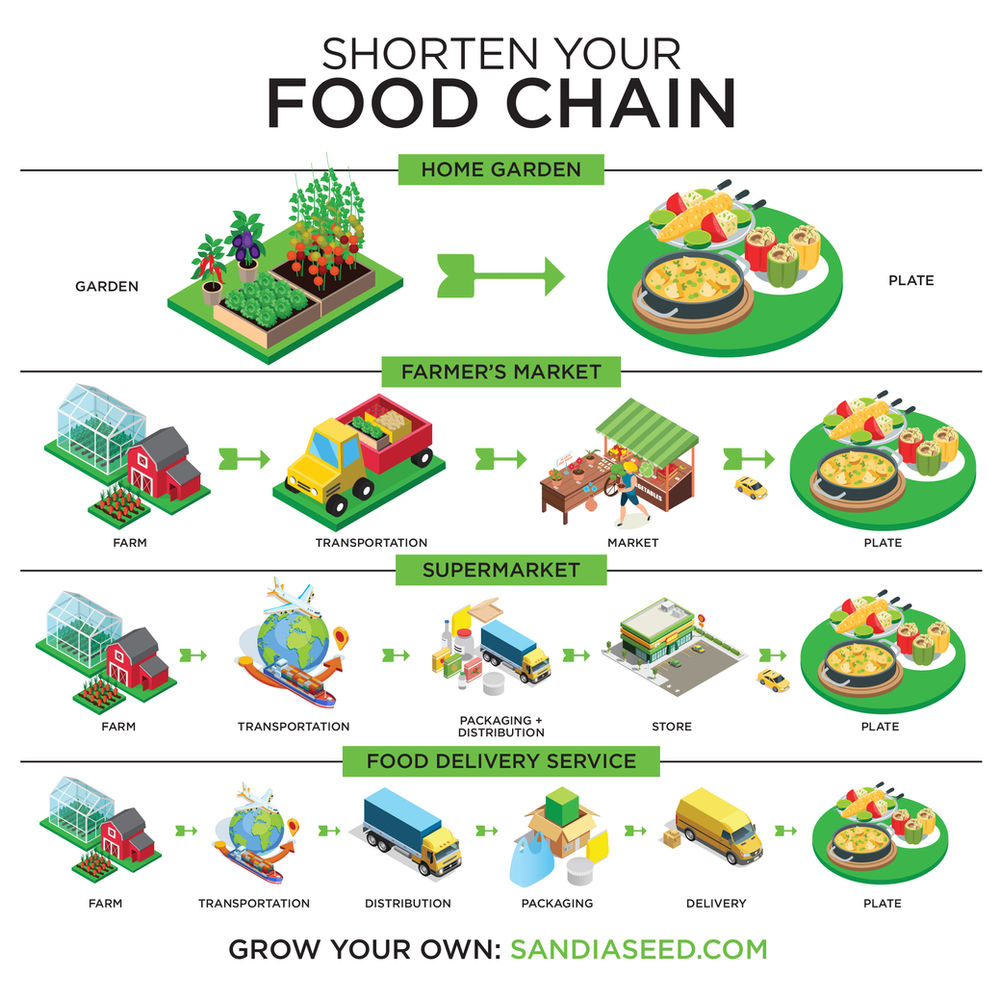 Food Waste Infographic Shorten Your Food Chain