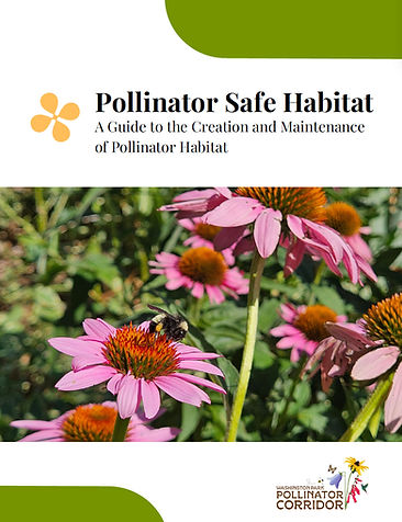 Pollinator-Safe-Habitat-Pollinator-Corridor-Wash-Park.jpg