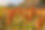 shutterstock_1589495605.jpg