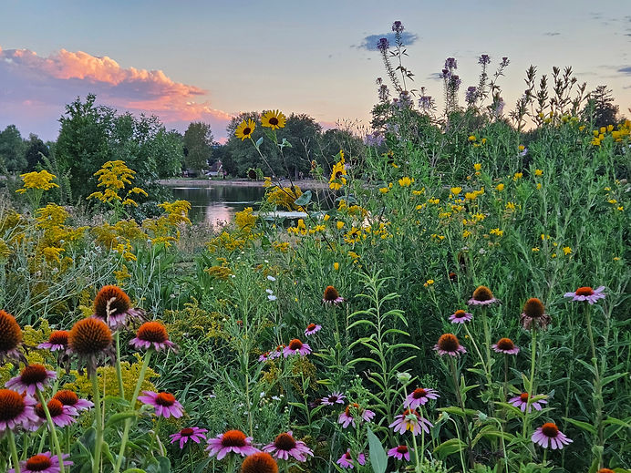 Mount Vernon Garden in Washington Park just celebrated its 100th Birthday - Idelle Fisher-