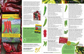 Clipping Path Services - USA