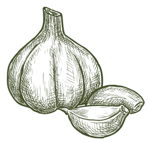 Garlic-Icon.png
