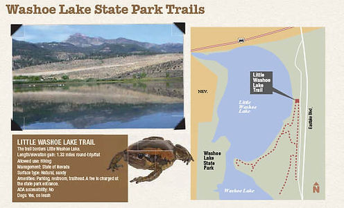 Little Washoe Lake Park Trails