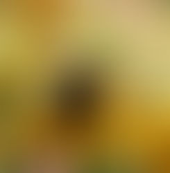 Garden Strangelove - or - How I learned to stop worrying and love grasshoppers