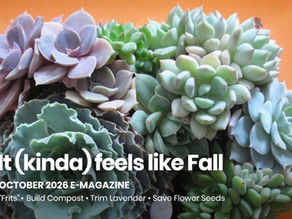 It (kinda) feels like Fall - October 2026 E-Magazine: "Frits" • Build Compost • Save Flower Seeds