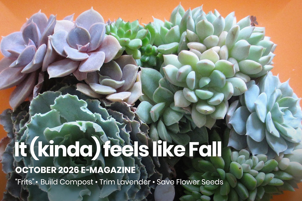 It (kinda) feels like Fall - October 2026 E-Magazine: "Frits" • Build Compost • Save Flower Seeds