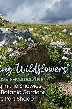 August 2025 E-Magazine