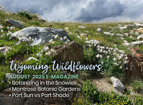 Colorado Gardener August 2025 E-Magazine: Wyoming Wildflowers, • Botanizing in the Snowies • Montrose Botanic Gardens • Part Sun vs Part Shade