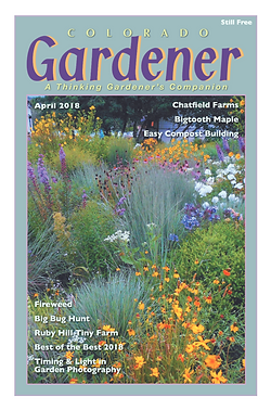 Editor's Letter: April 2018