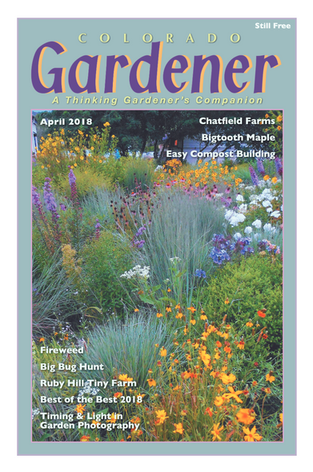 Editor's Letter: April 2018