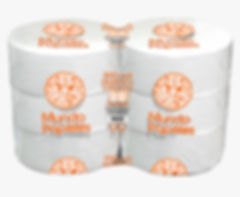 PAPEL HIGIENICO INSTICIONAL 300 X 6 ROLLOS HOJA SIMPLE