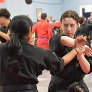 How to Choose a Good Dojo (And Why Most People Get It Wrong)