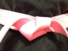 Pink Belt Campaign Huge Success!