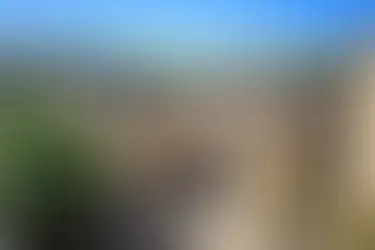 Que faire à Saint Emilion