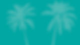 Header Image_3_no logo.jpg