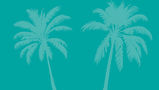 Header Image_3_no logo.jpg