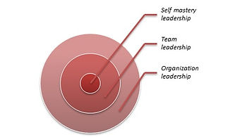Pelatihan Leadership Framework Jimmy Sudirgo