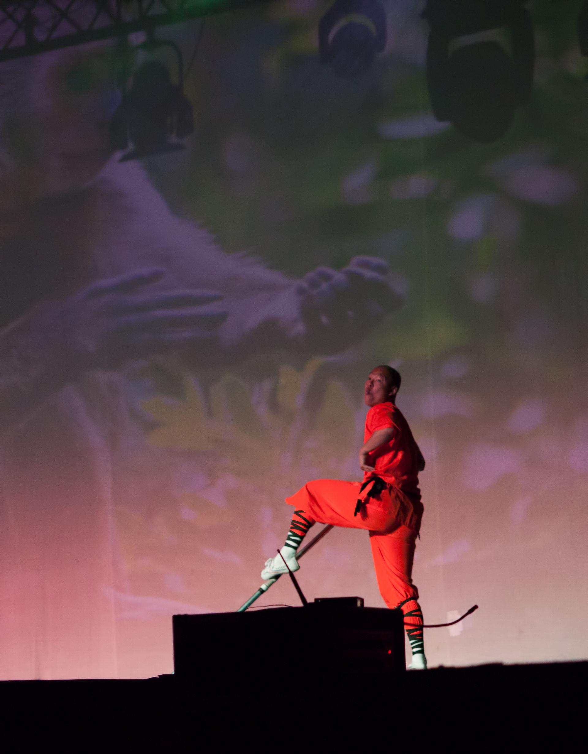 shaolin kungfu