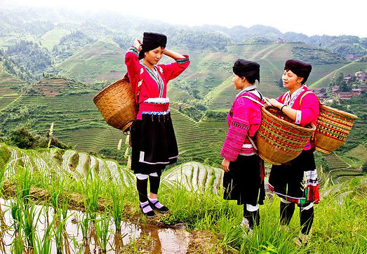 longji rice terrace.jpg