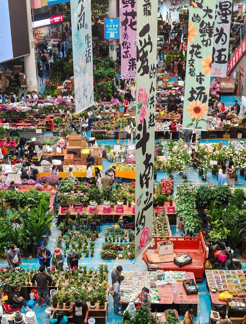 Dounan Flower Market