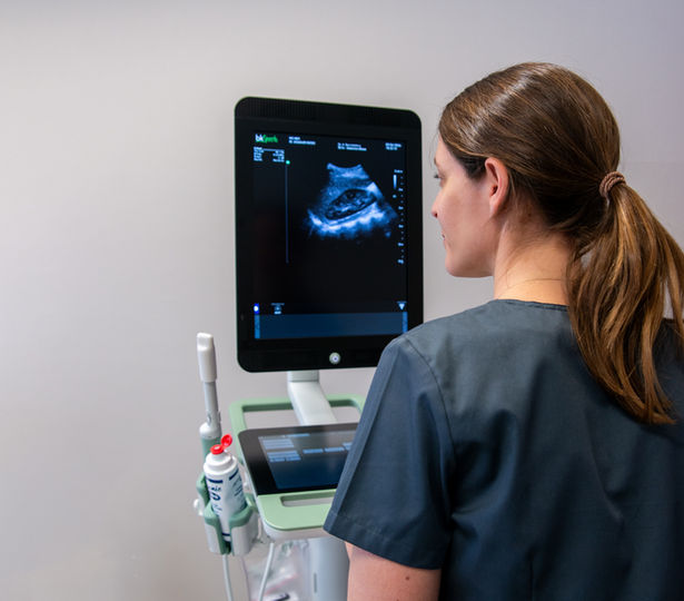 Dr. Andrea Decristoforo beim Umgang mit dem Ultraschallgerät