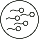 Dr. Andrea Decristoforo_Icon_Spermiogram