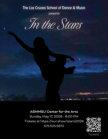 In the stars poster.JPG