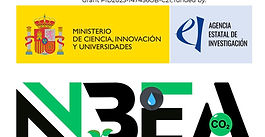 Nanocellulose meets Environment