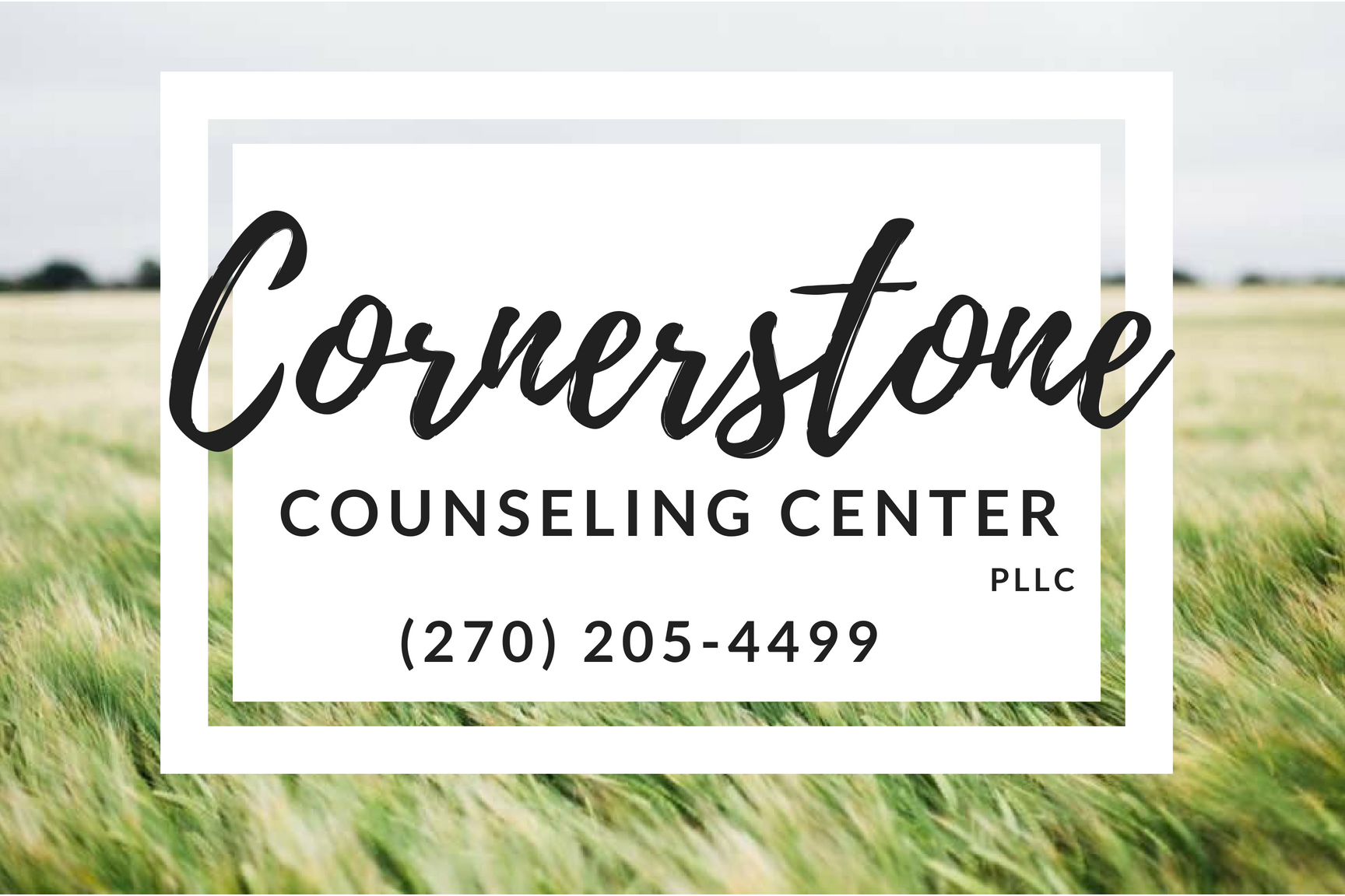 Counseling Cornerstone Counseling Center, PLLC United States