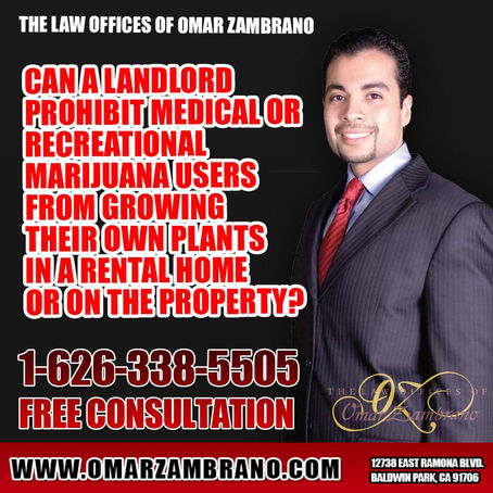 Can a landlord prohibit medical or recreational marijuana users from growing their own plants in a r