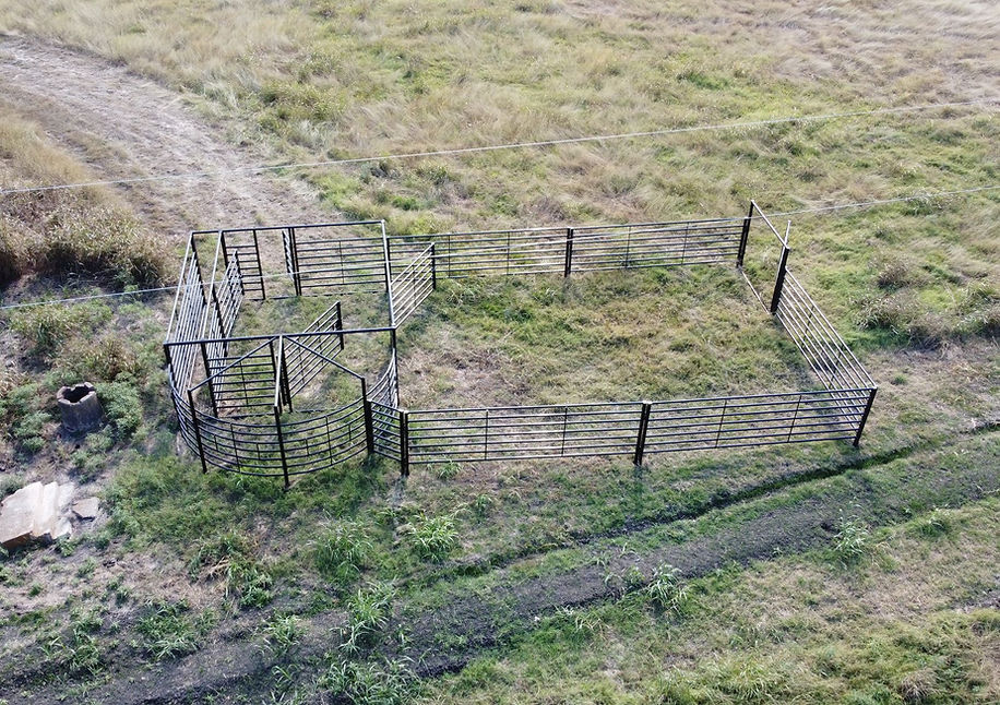 Cattle Working Pen #11 Rear View