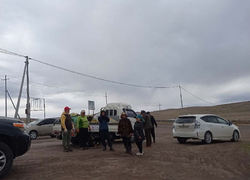 ҮРИЙН ЦАГААН ОВООНЫ ЦЭВЭРЛЭГЭЭ - 2024