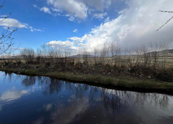 УЛААНБААТАР ХОТЫН ГОЛУУДЫН ЦЭВЭРЛЭГЭЭ - 2024