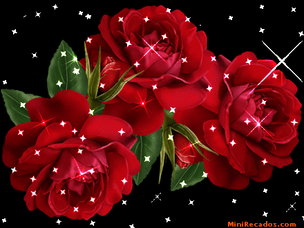 flores.gif