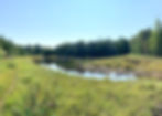 Sister Bay Conservation Hike