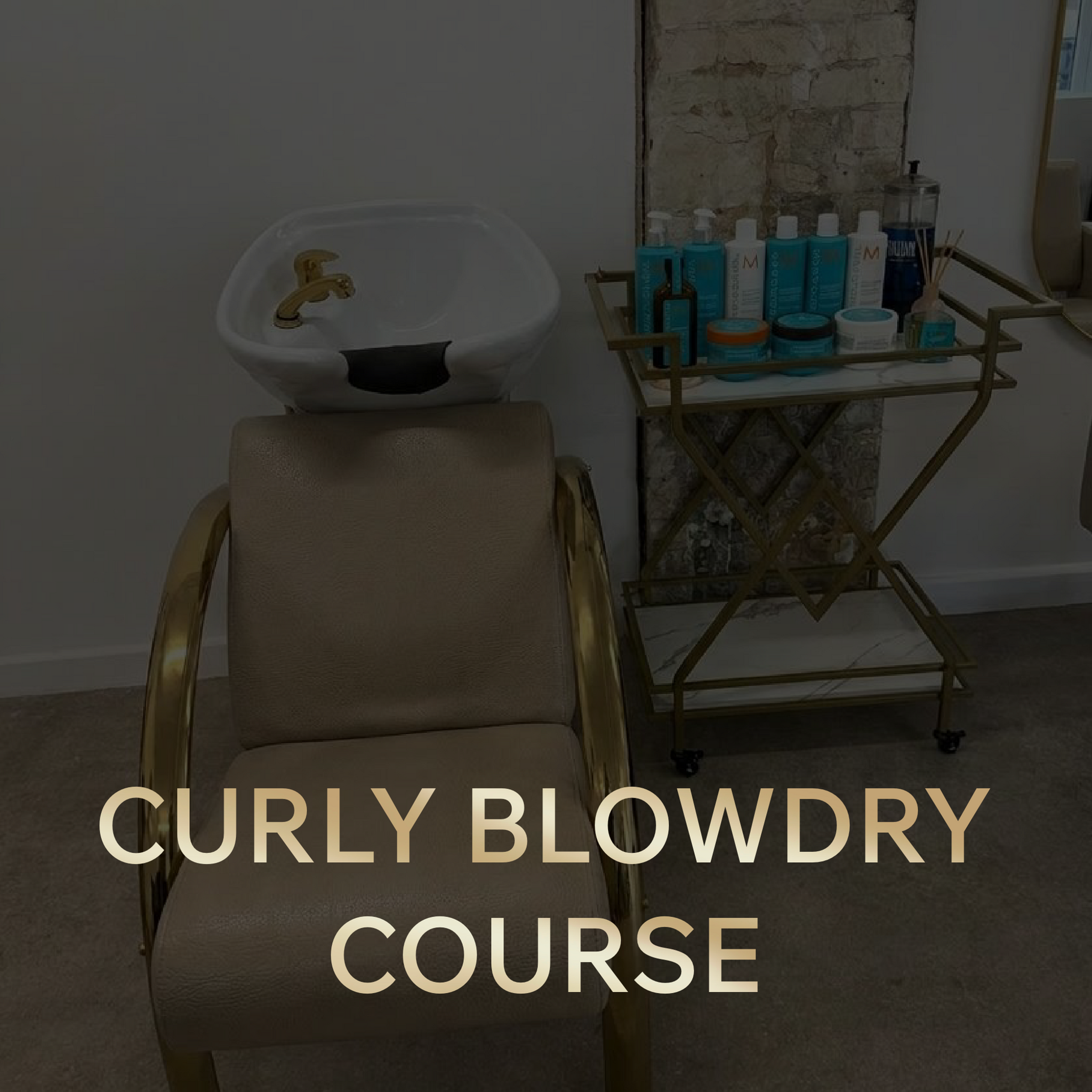 Curly Blowdry Course