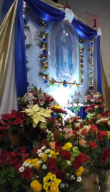 Guadalupe%20flores_edited.jpg