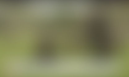 Militares estarían cometiendo actos de corrupción en la frontera con Venezuela