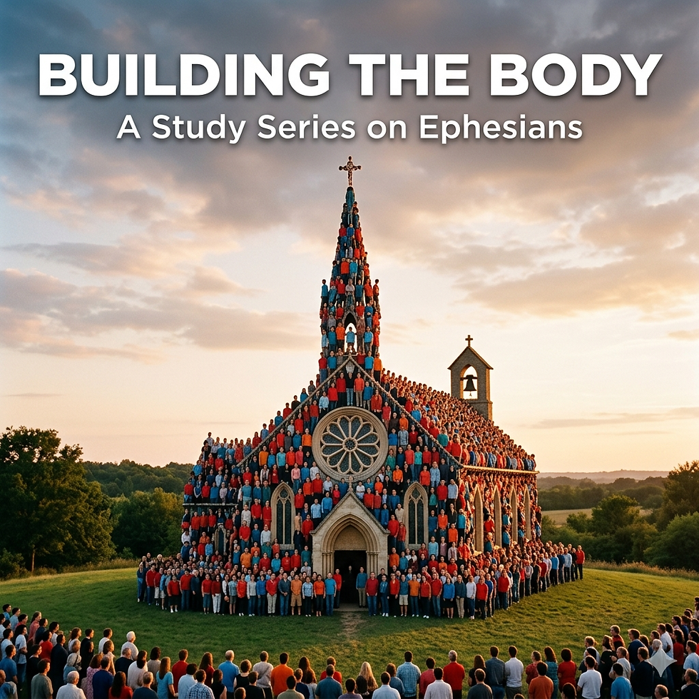 Building The Body Study 2 - Birth of the Body