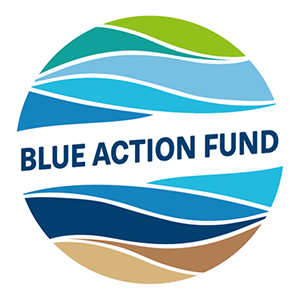 Logo BAF.png