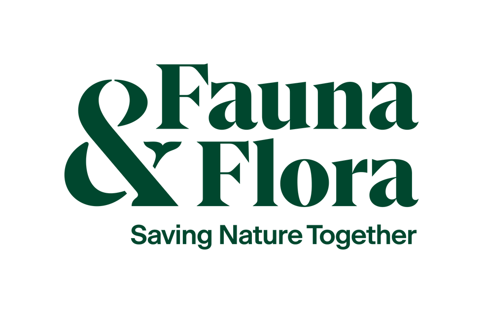 FF_Logo_Strapline_Forest_RGB (1).png