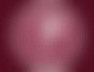 Texas Women’s University LULAC Council 4205