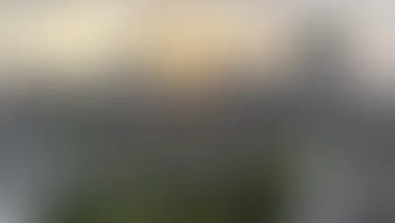 Luisa Zamora to immigrate to Fort Worth, Texas