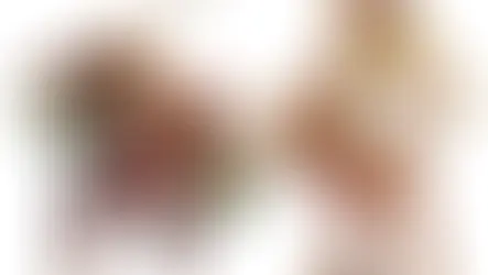 El Guerrero Águila-Jaguar vs el Guerrero Samurái