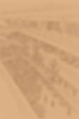 metrolople.png