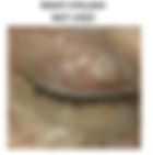 Thumbnail: Sincerity Eyelash Growth Serum
