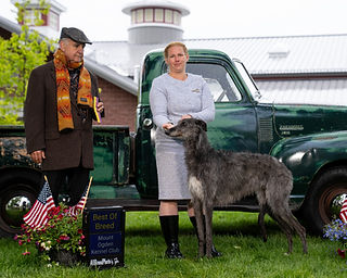 image23673.jpg