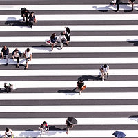 ryoji-iwata-n31JPLu8_Pw-unsplash.jpg